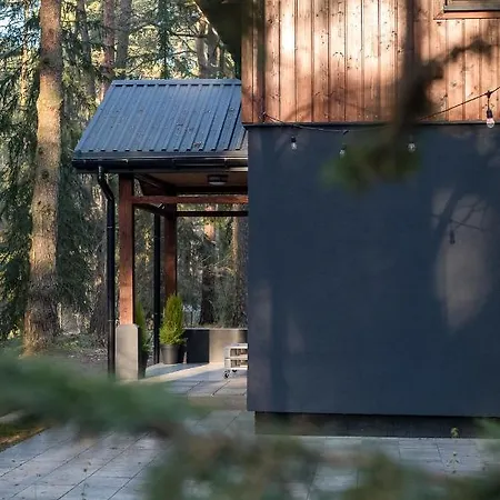 Konwaliowe Zacisze - Chillout W Lesnej Aurze *