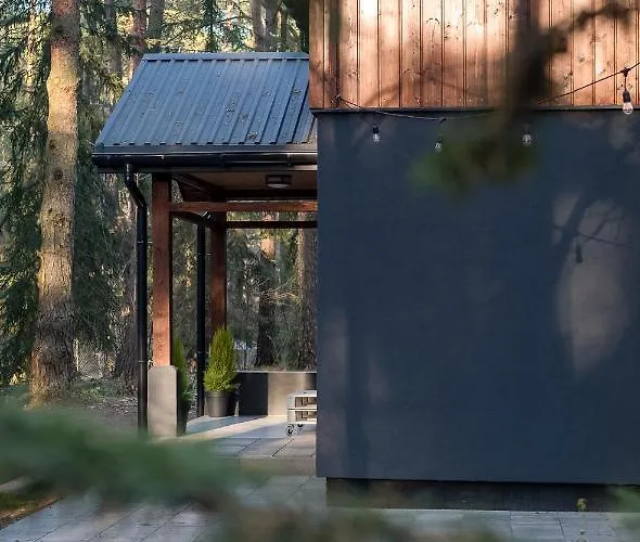 Konwaliowe Zacisze - Chillout W Lesnej Aurze *