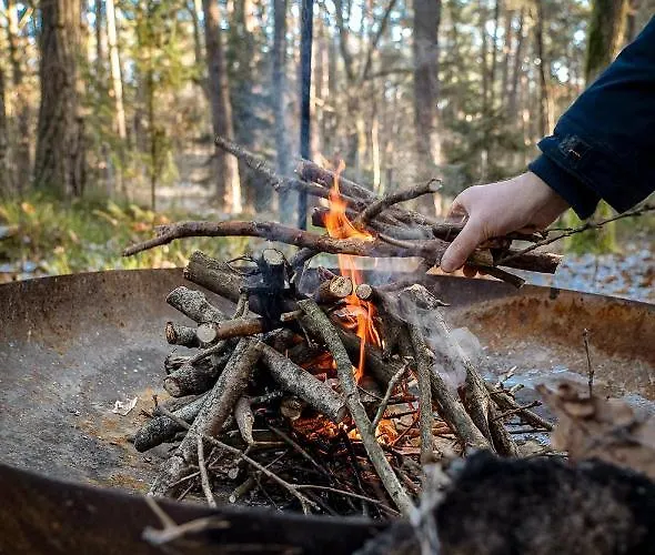 Konwaliowe Zacisze - Chillout W Lesnej Aurze