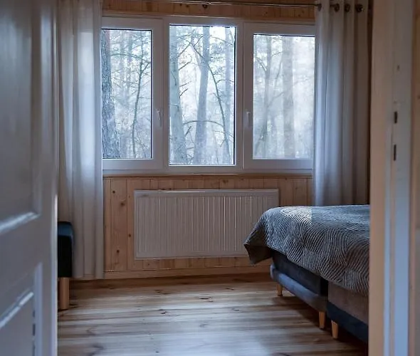 Konwaliowe Zacisze - Chillout W Lesnej Aurze *